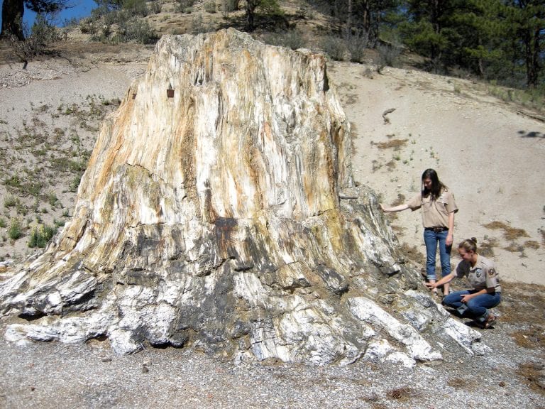 Florissant Fossil Beds Pikes Peak OutdoorsPikes Peak Outdoors